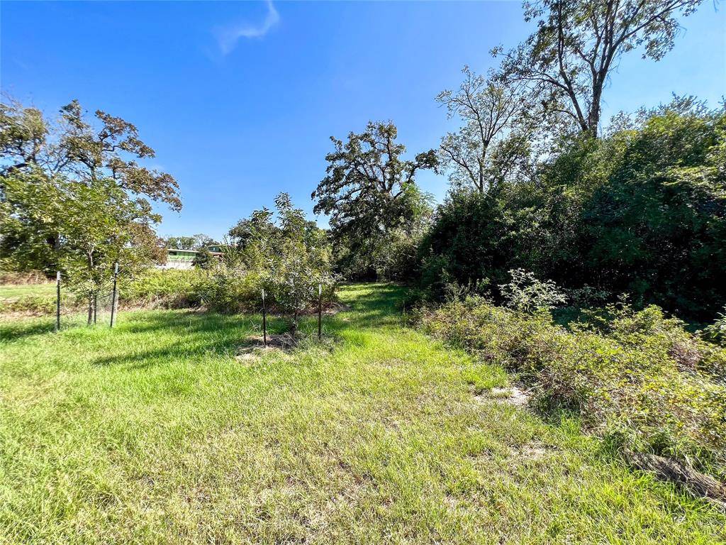 Iola, TX 77861,Lot 446 Henley Cove