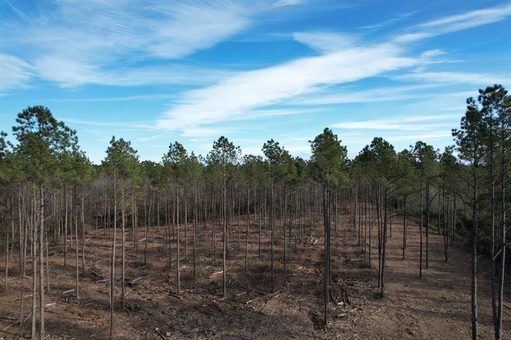 Timpson, TX 75975,TRACT A County Road 4037