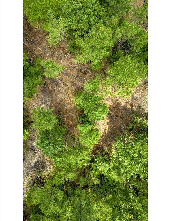 Moscow, TX 75960,TBD Lot 002 Holland RD