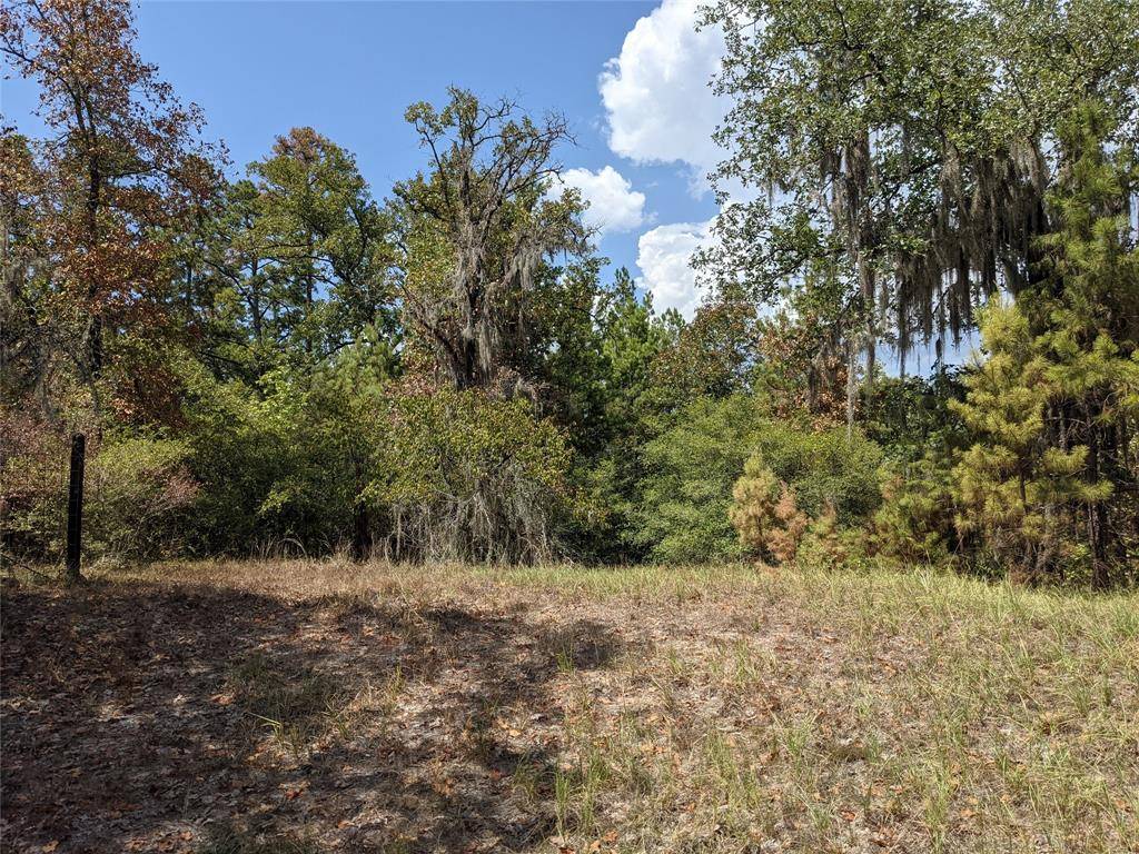 Huntsville, TX 77320,Lot 270 & 271 Arrowhead DR