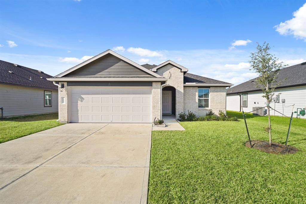 Rosharon, TX 77583,7502 Fierce Friesian LN