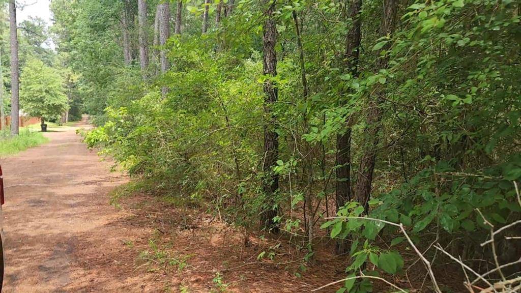 Plantersville, TX 77363,Lot 5 Cherry Tree LN