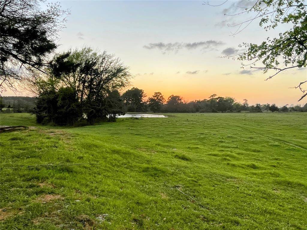 Anderson, TX 77830,TBD County Road 211
