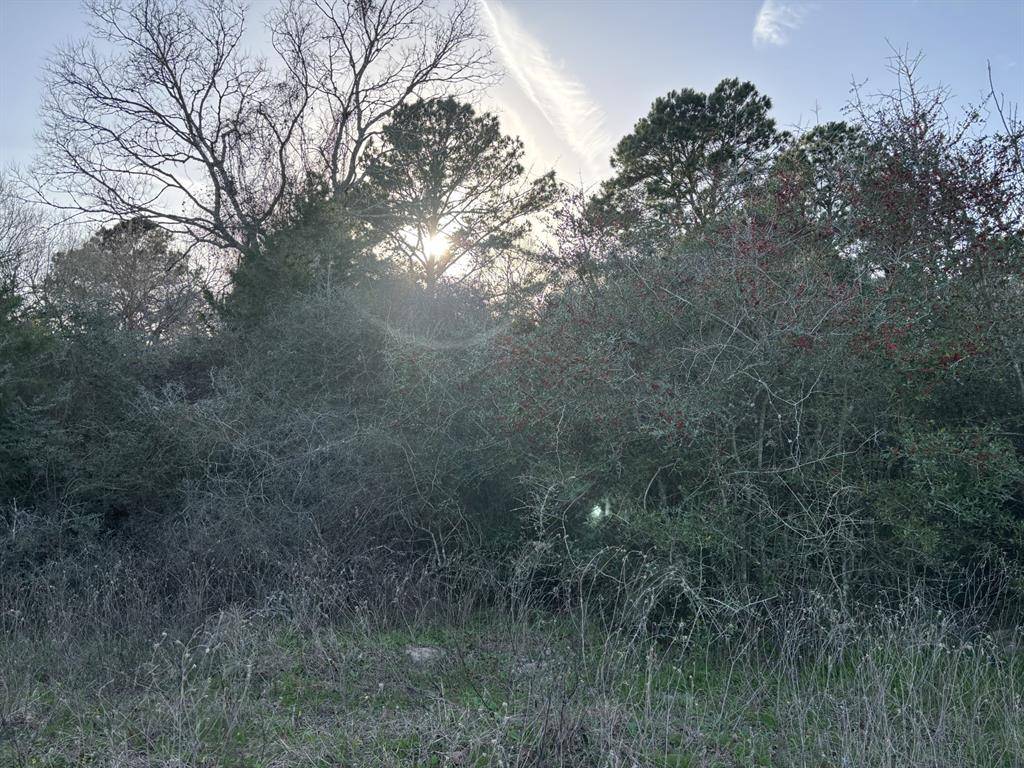 Bellville, TX 77418,0000 TBD Clens RD