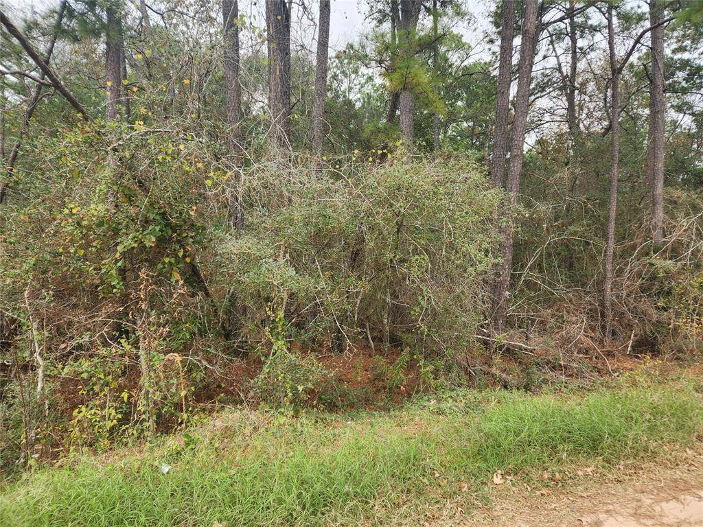 Plantersville, TX 77363,Lot 36 White Oak DR