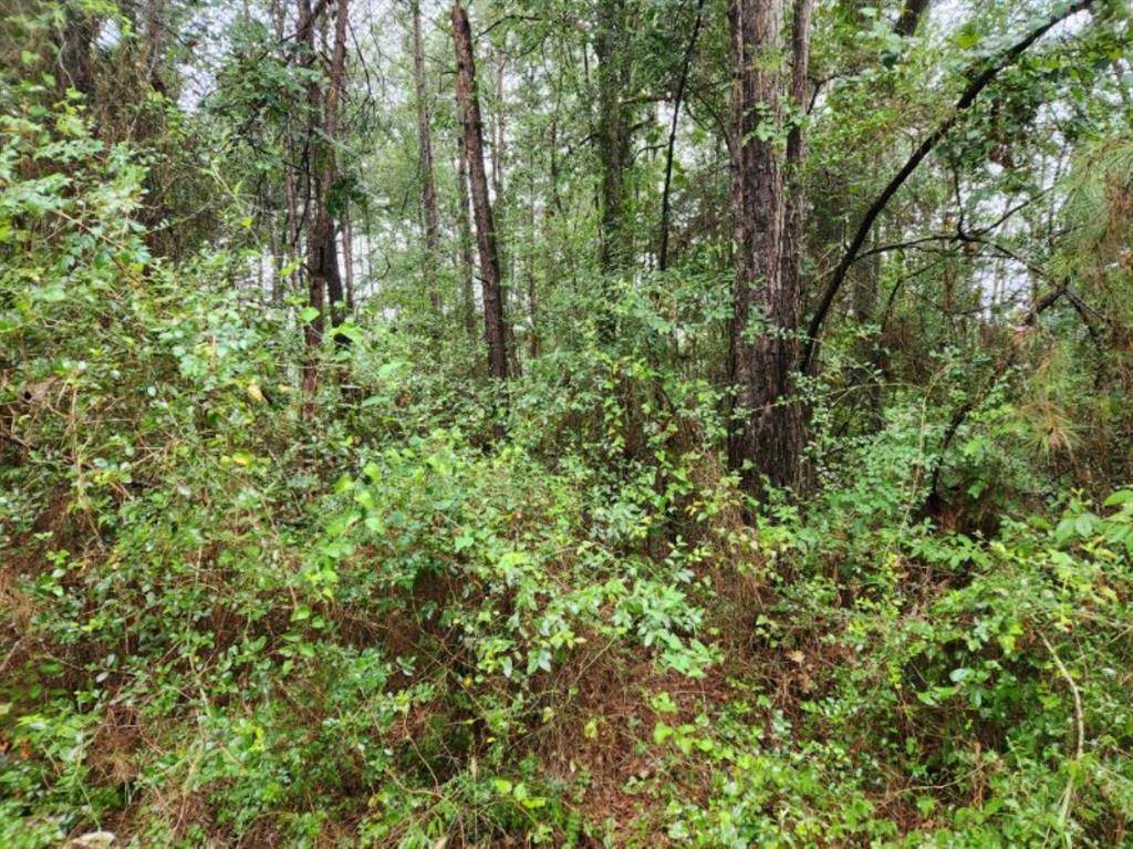 Plantersville, TX 77363,Lot 9 Tawnyberry LN