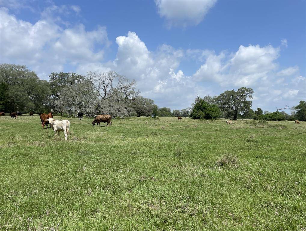 Wharton, TX 77488,1243 1243 CR rd 24