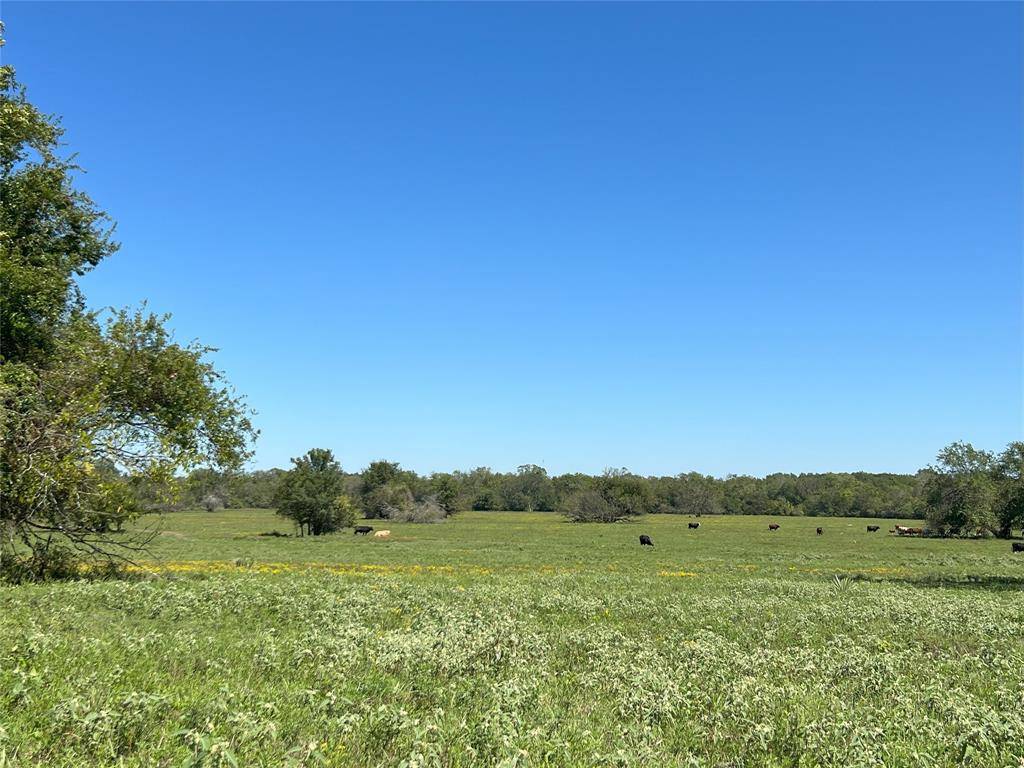 Montgomery, TX 77316,0000 tbd Jackson Rd