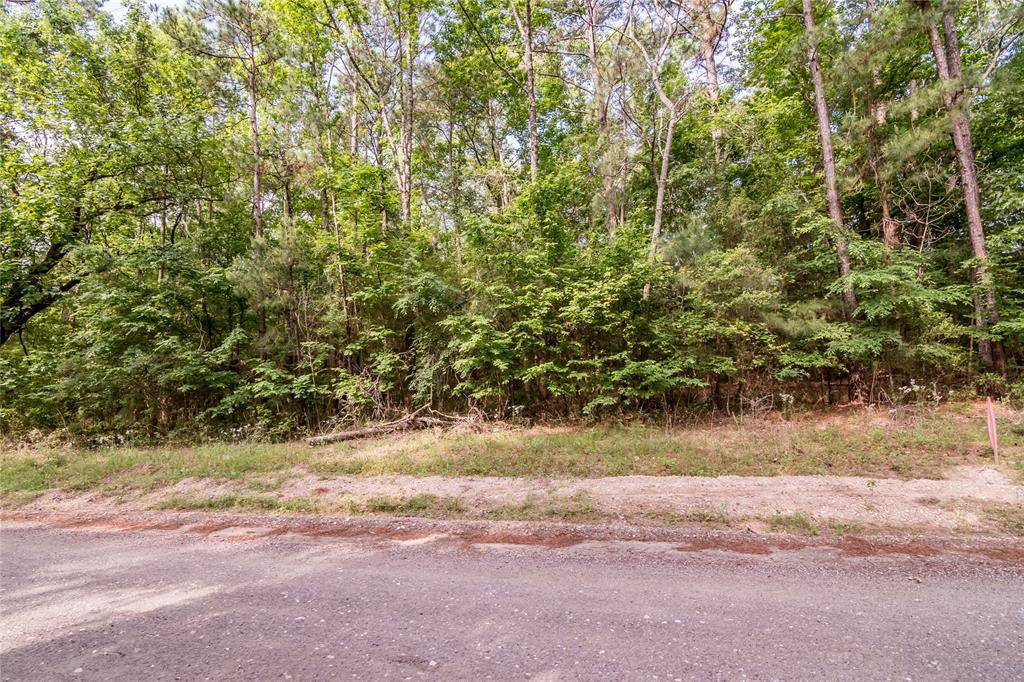 Coldspring, TX 77331,Lot 179 Morris CRK