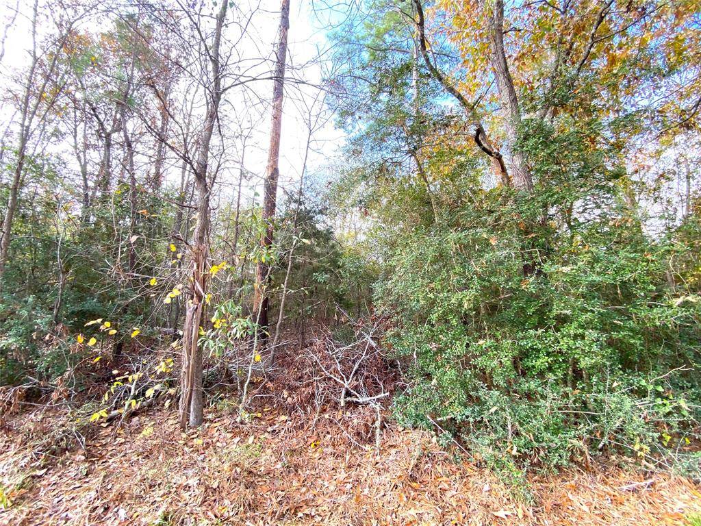 Huntsville, TX 77320,Lot 21 Lula DR