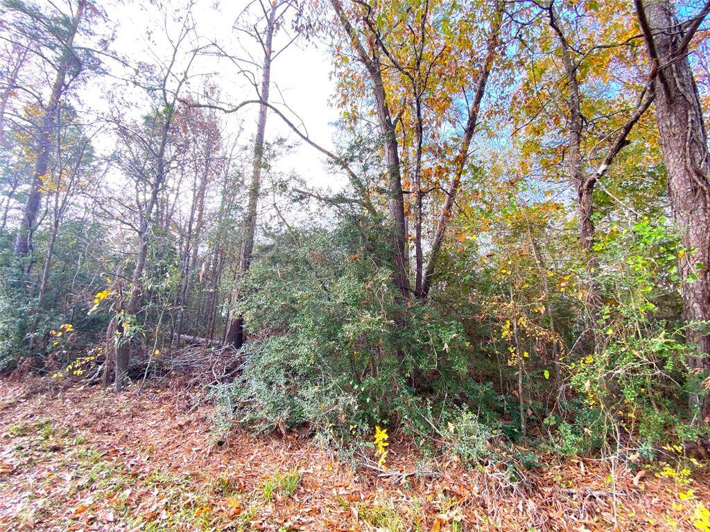 Huntsville, TX 77320,Lot 21 Lula DR