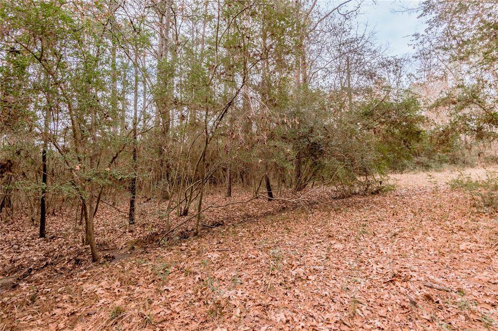 Trinity, TX 75862,Lot 25 Cessna Court