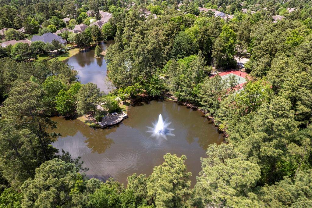 The Woodlands, TX 77382,10 Strawberry Canyon PL