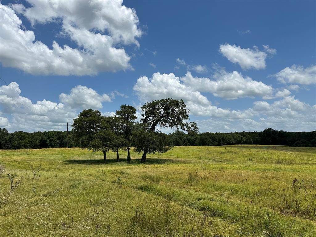Buffalo, TX 75831,16AC CR 330