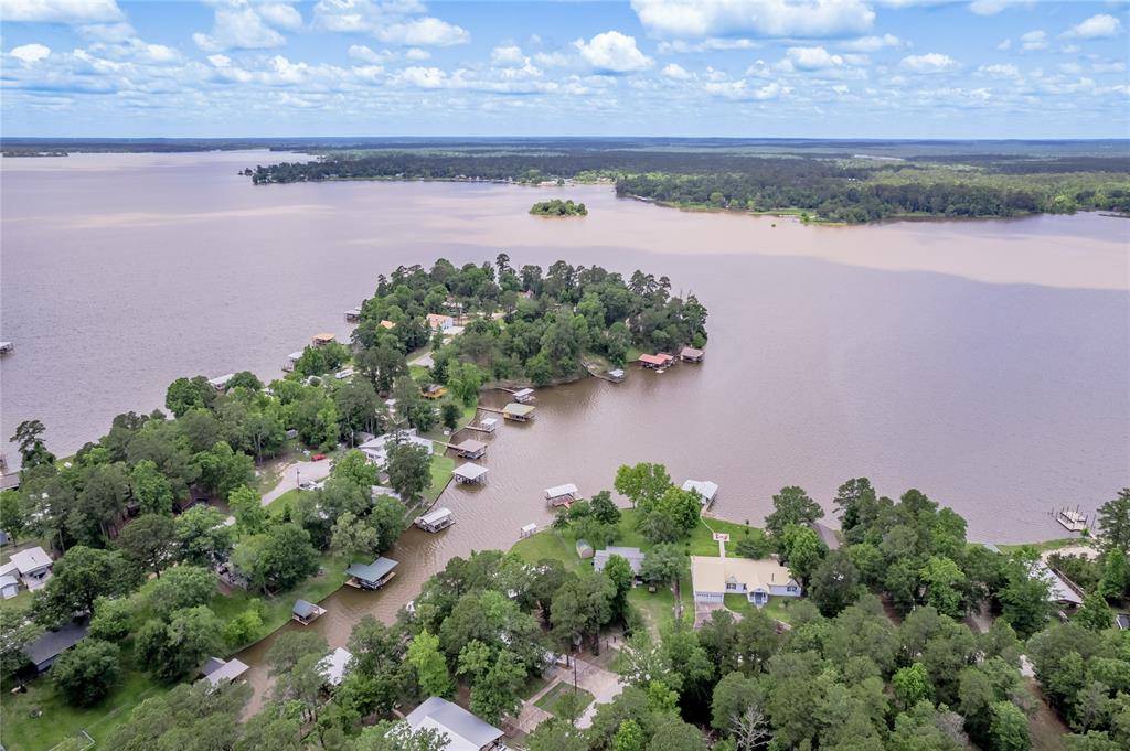 Trinity, TX 75862,460 Ridge TRL