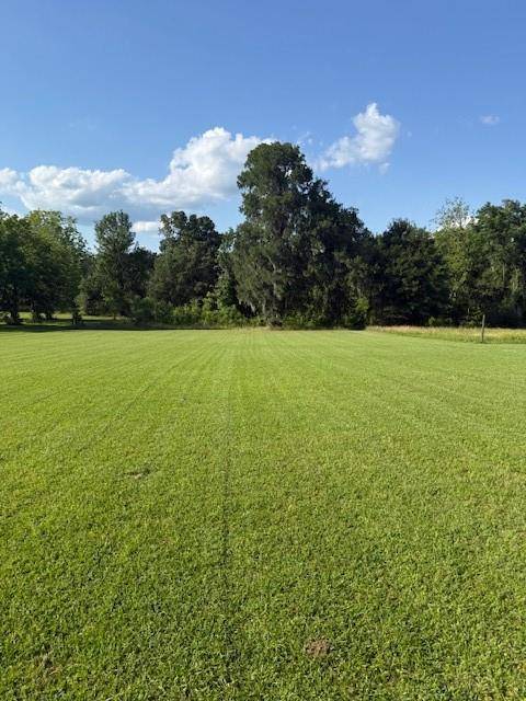Shepherd, TX 77371,240 Rosalie ST