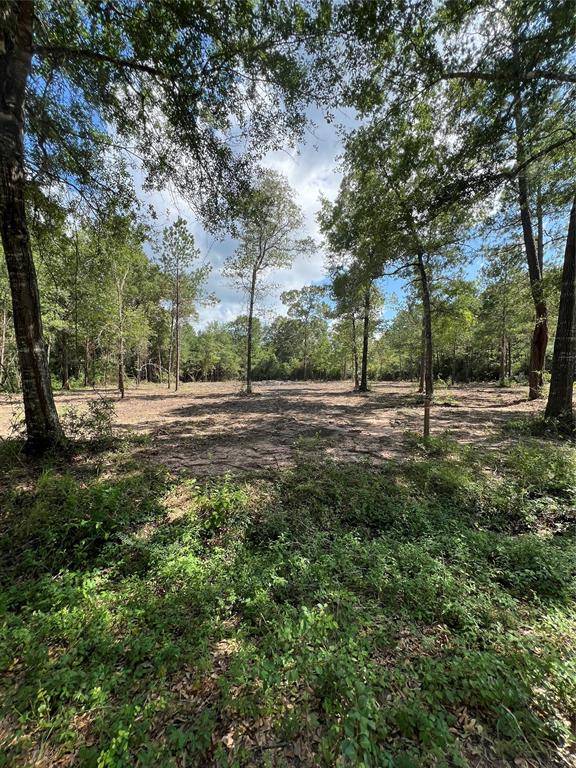 Plantersville, TX 77363,TBD Lot 3 Deerwood DR