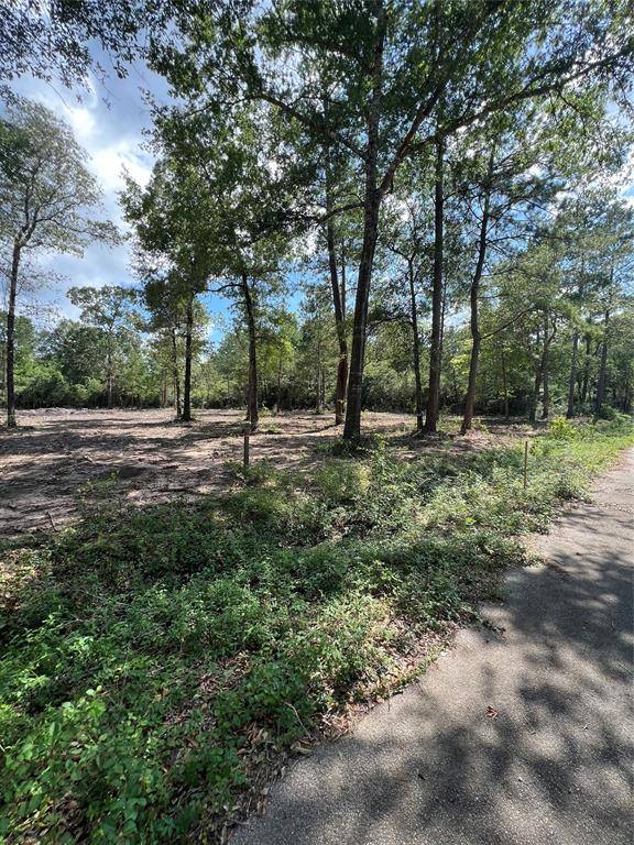 Plantersville, TX 77363,TBD Lot 3 Deerwood DR