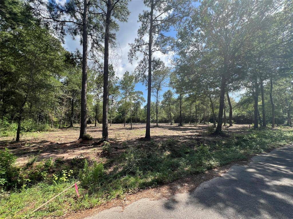 Plantersville, TX 77363,TBD Lot 3 Deerwood DR