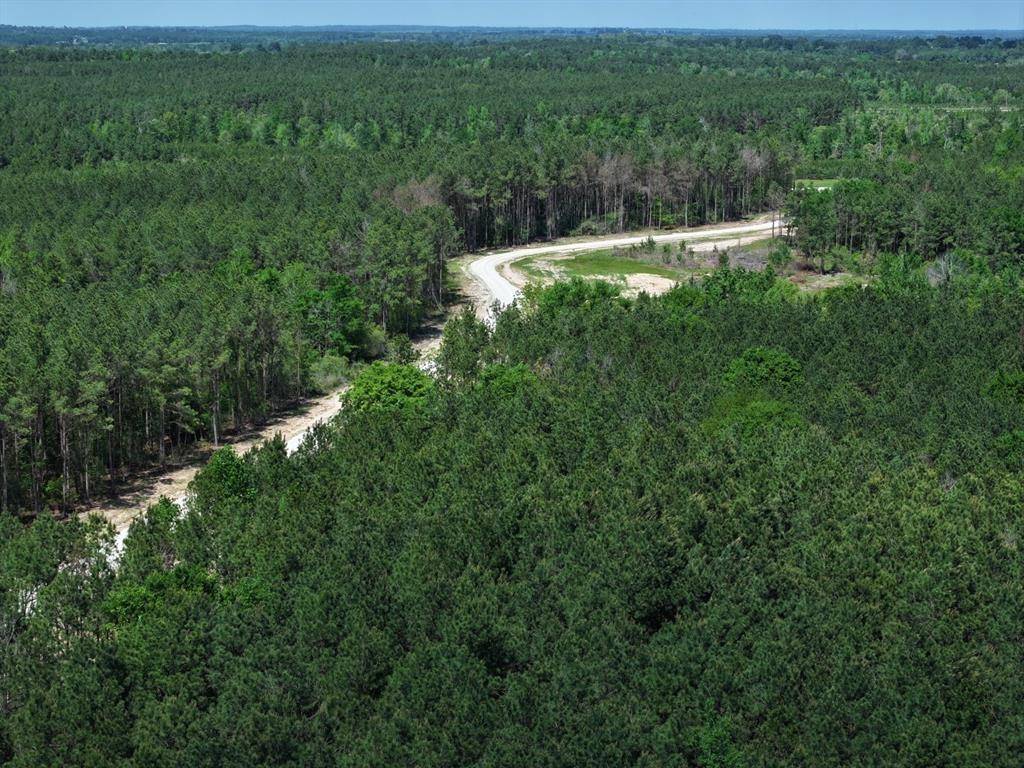 Lovelady, TX 75851,Tract 82 Collin st