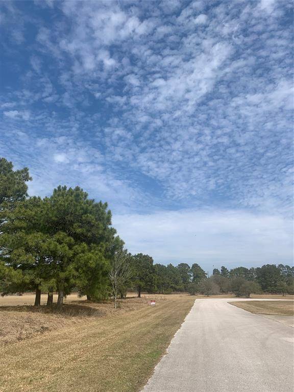 Magnolia, TX 77355,Lot 3 Meadow Lake