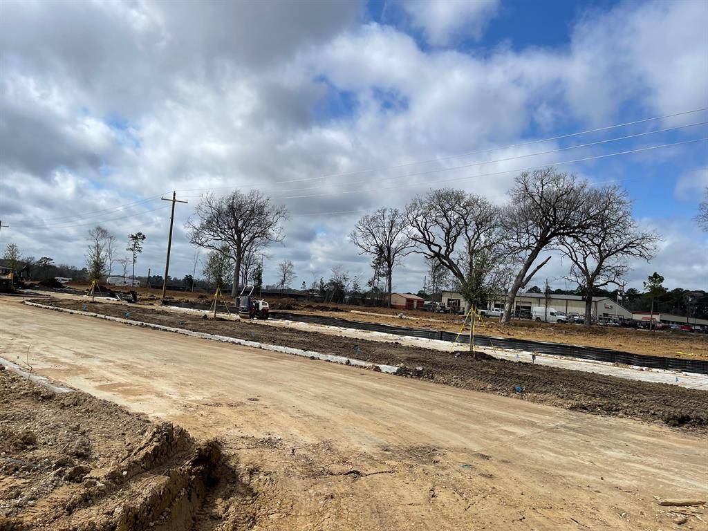 Willis, TX 77318,12066 Curlin DR