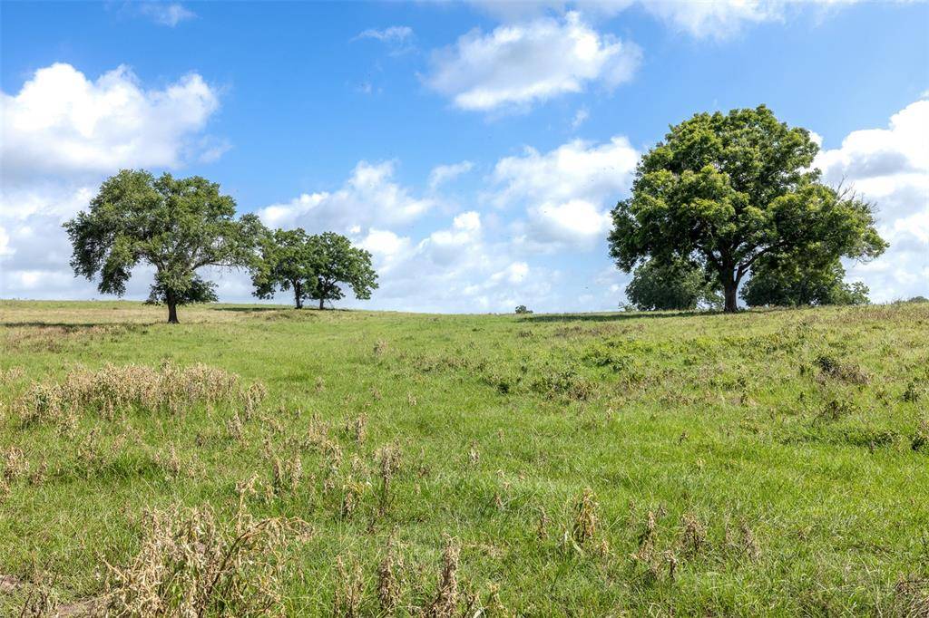 Chappell Hill, TX 77426,6550 Gibbs Creek RD