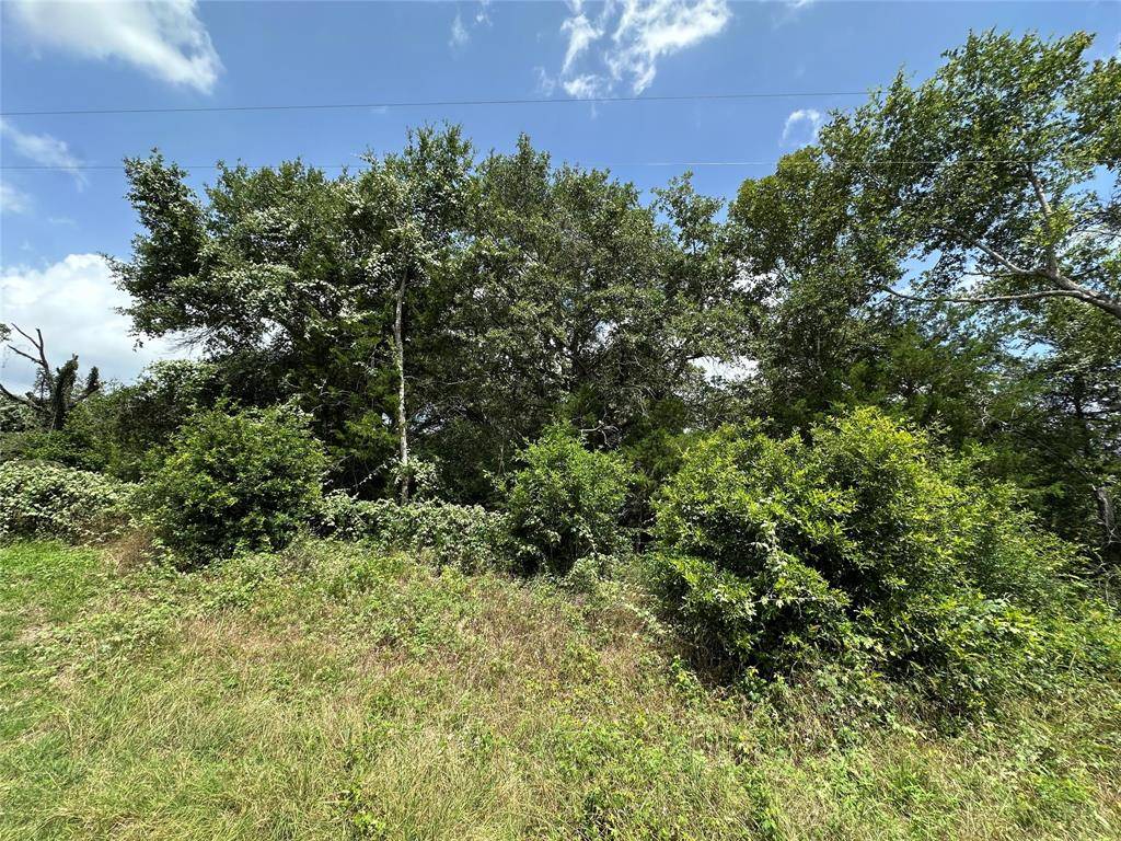 Caldwell, TX 77836,000000 Overlook RD