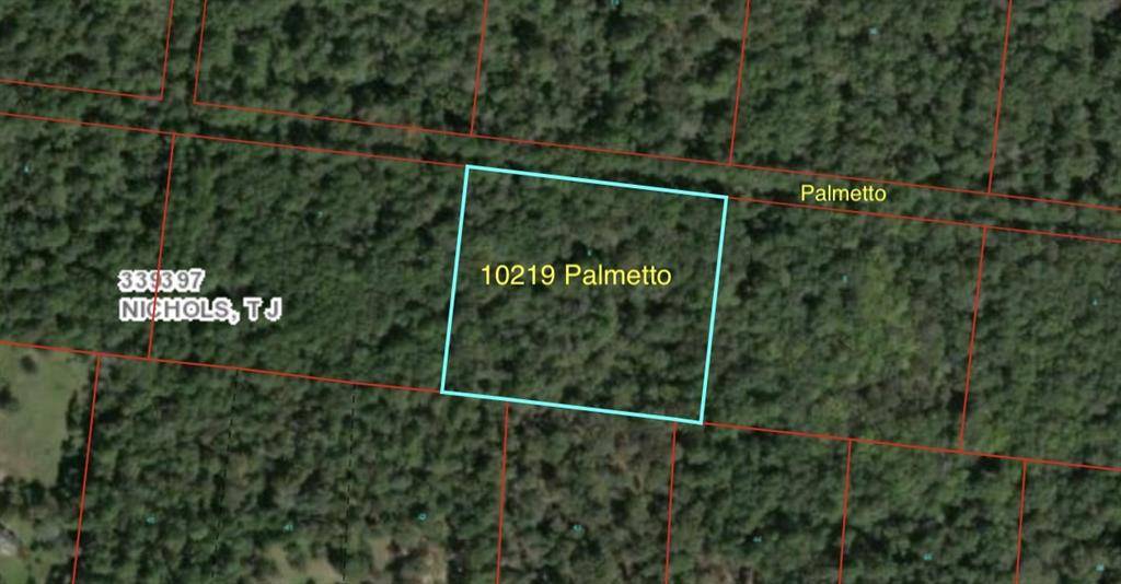 Magnolia, TX 77354,10219 Palmetto