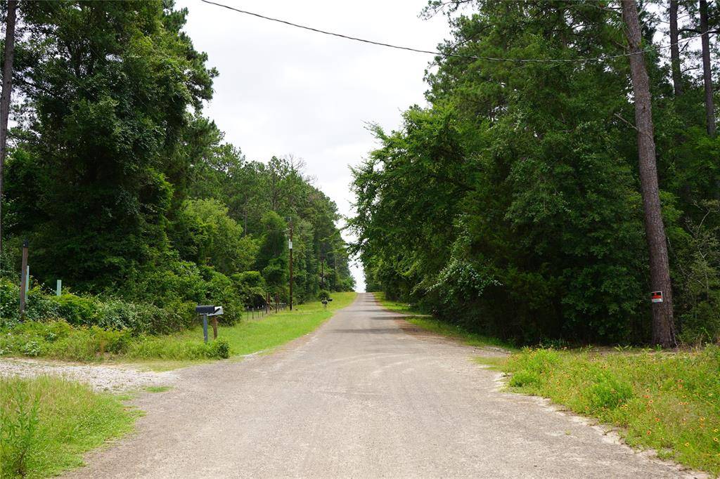 Navasota, TX 77868,4845 Long Shadows RD
