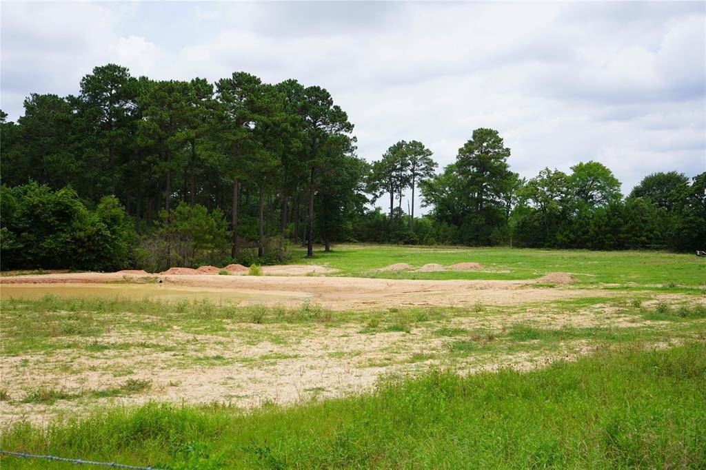 Navasota, TX 77868,4845 Long Shadows RD