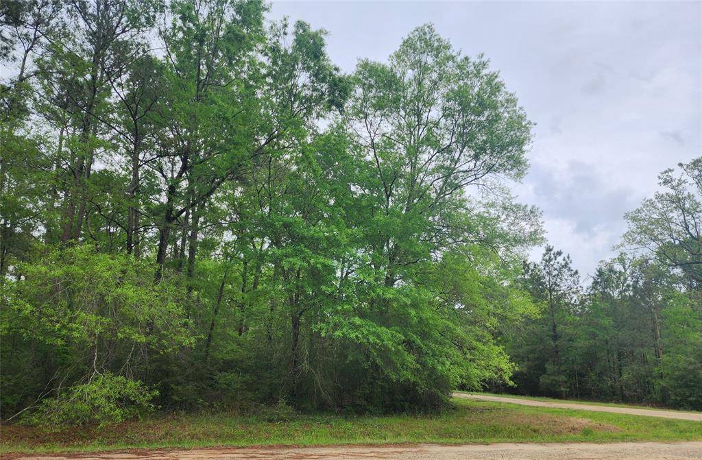 Livingston, TX 77351,TBD Cloverdale