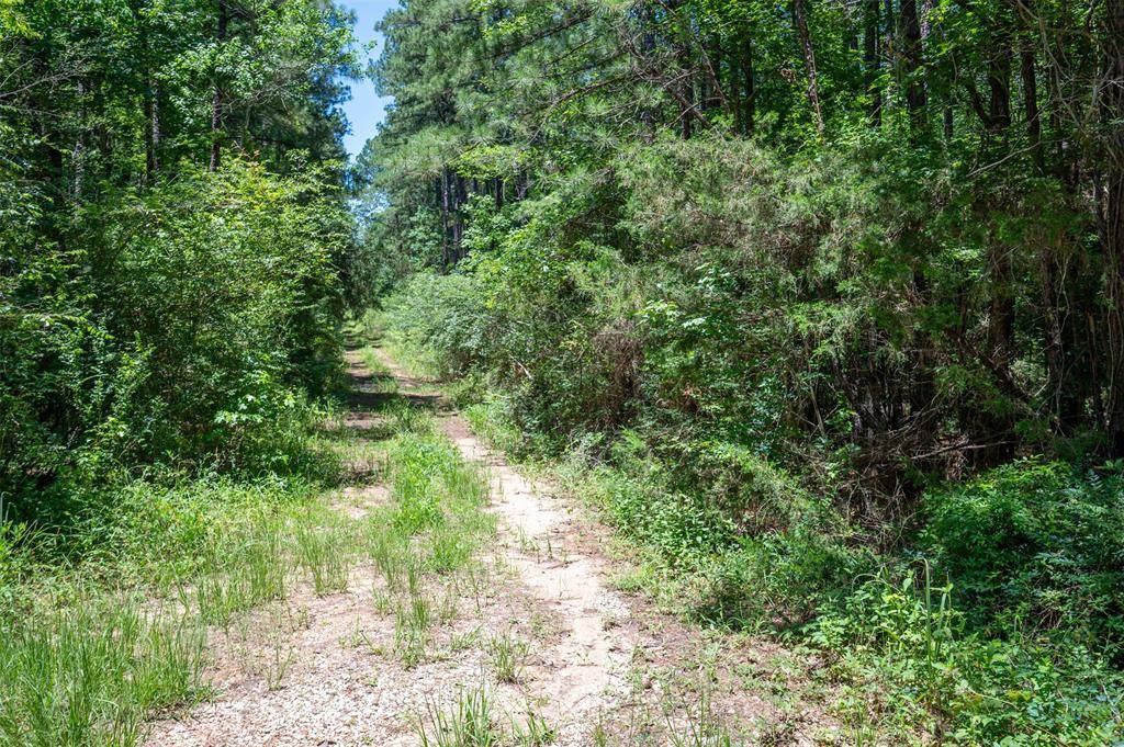 Woodville, TX 75979,tbd C R 3000