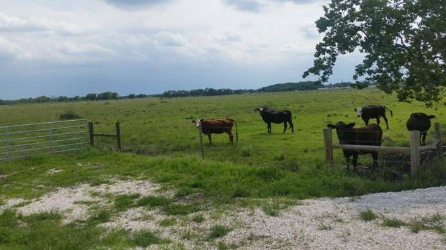 Angleton, TX 77515,11.89 County Road 341
