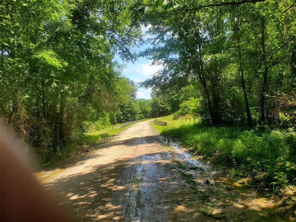 Lovelady, TX 75851,6.218 ac Zion Hill RD