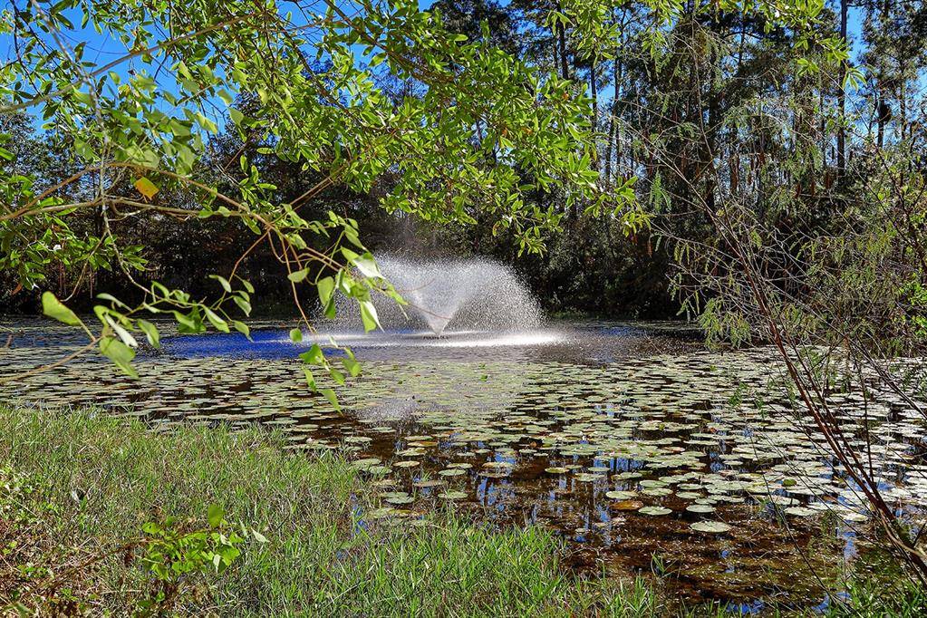 Conroe, TX 77304,142 Moon Dance CT