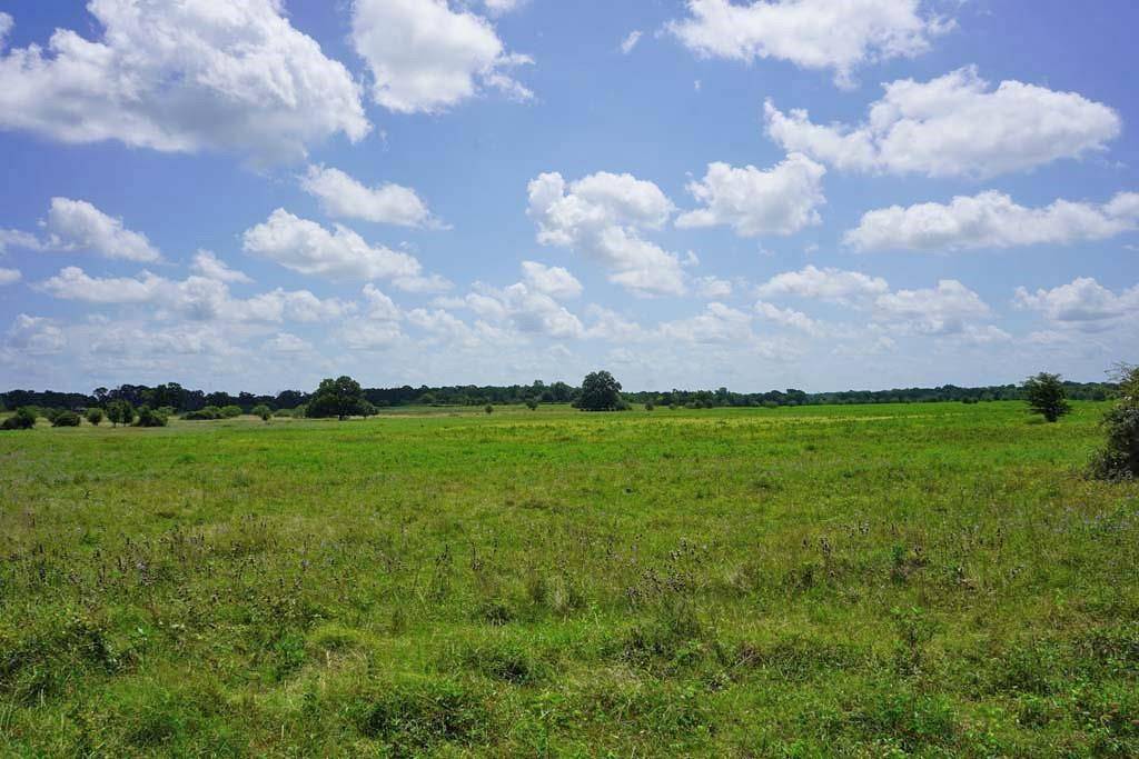 Navasota, TX 77868,00002 County Road 419