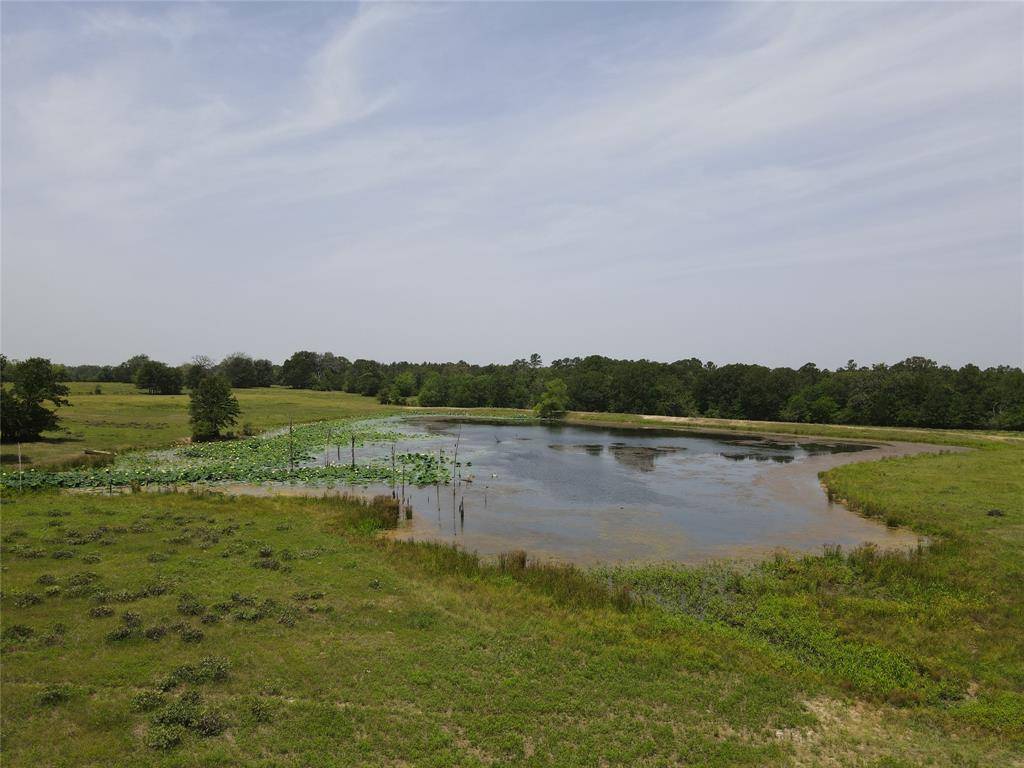 Lovelady, TX 75851,T.B.D CR 3455/Salem Cemetery Road