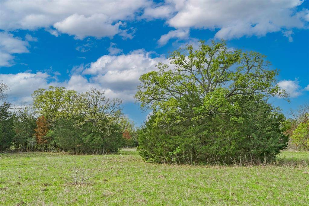 Bedias, TX 77831,13 Acres Bluebird Ln