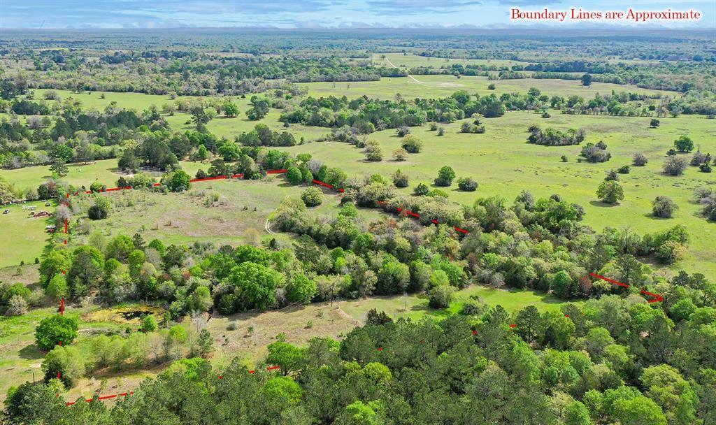 Bedias, TX 77831,13 Acres Bluebird Ln