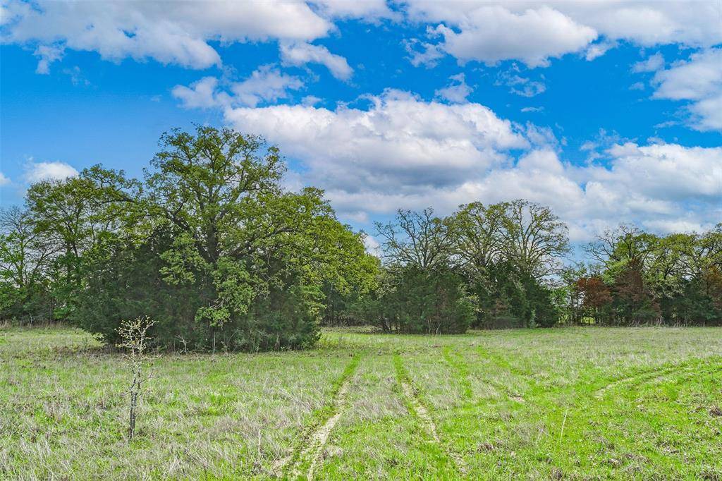 Bedias, TX 77831,13 Acres Bluebird Ln