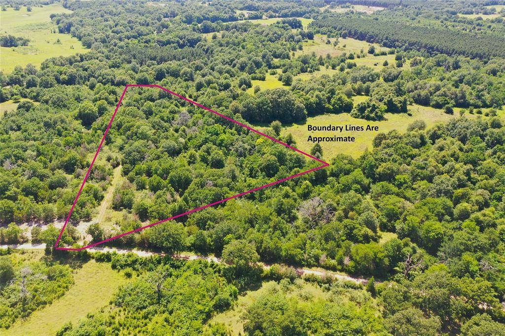 Oakwood, TX 75855,Tract 10 FCR 295