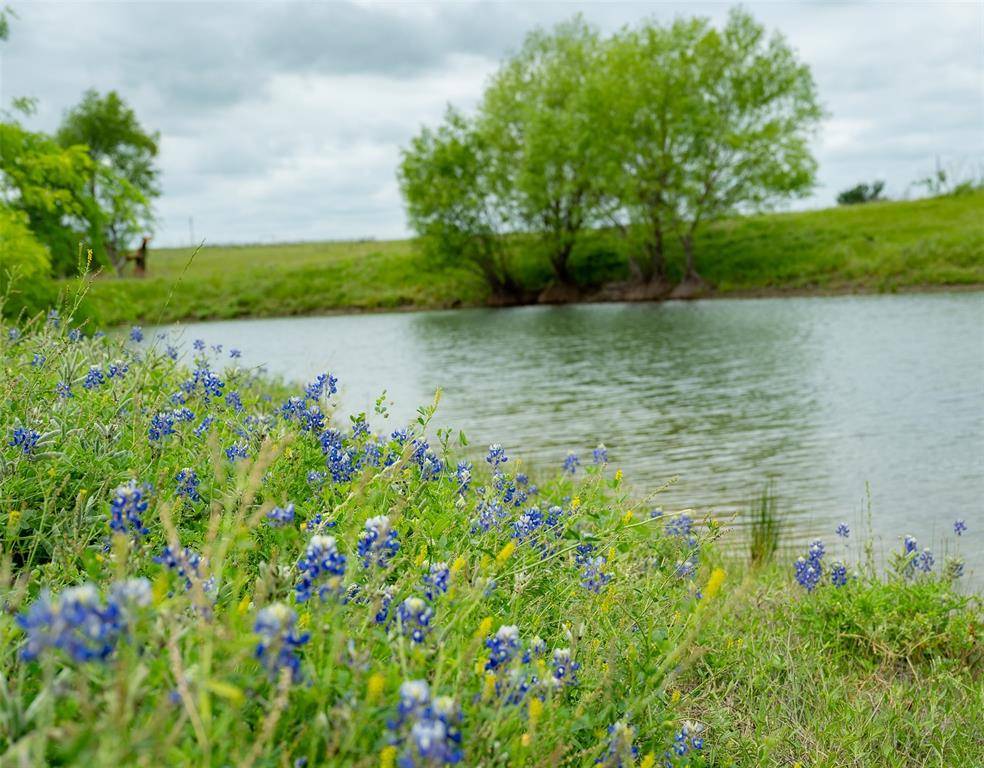 Coupland, TX 78615,1716 A County Road 469
