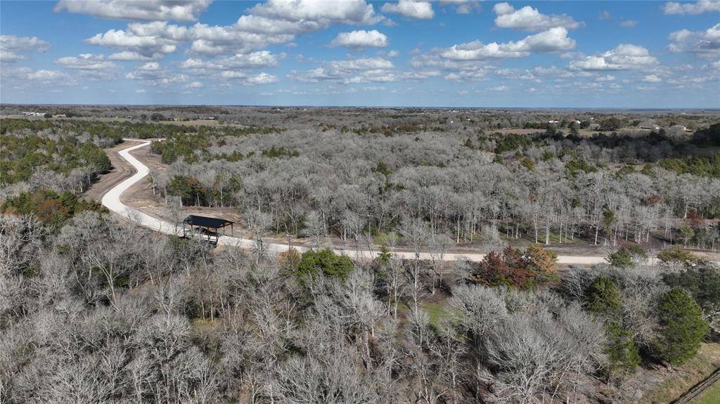 Chappell Hill, TX 77426,7 Timber Bridge LN