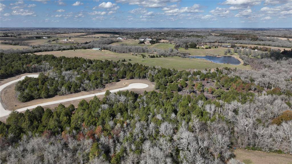 Chappell Hill, TX 77426,7 Timber Bridge LN