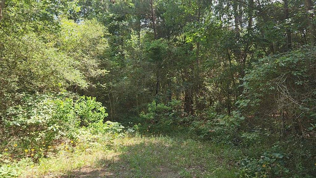 Plantersville, TX 77363,Lot 4 Cedar CT