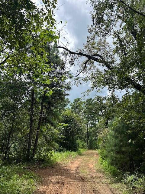 Navasota, TX 77868,CR 307 CR 307