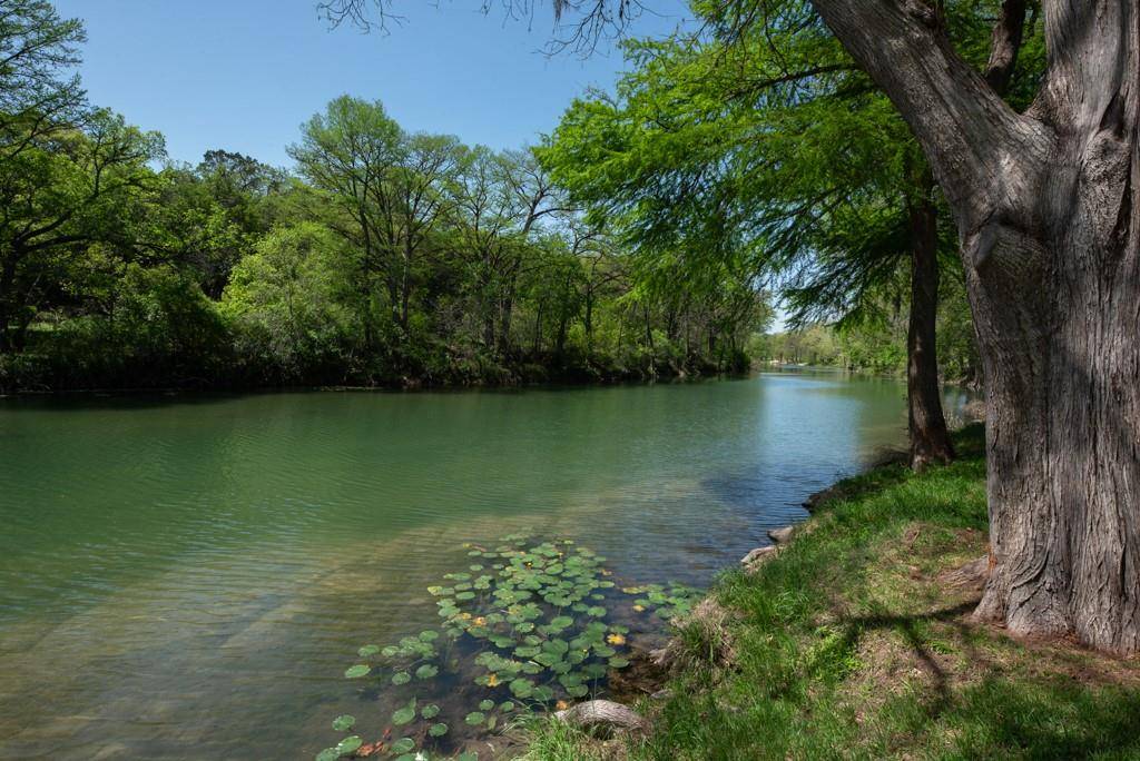 New Braunfels, TX 78132,850 Bluff Ridge CT