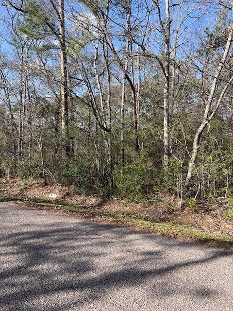 Splendora, TX 77372,TBD - Lot 108 Lake Splendora 03