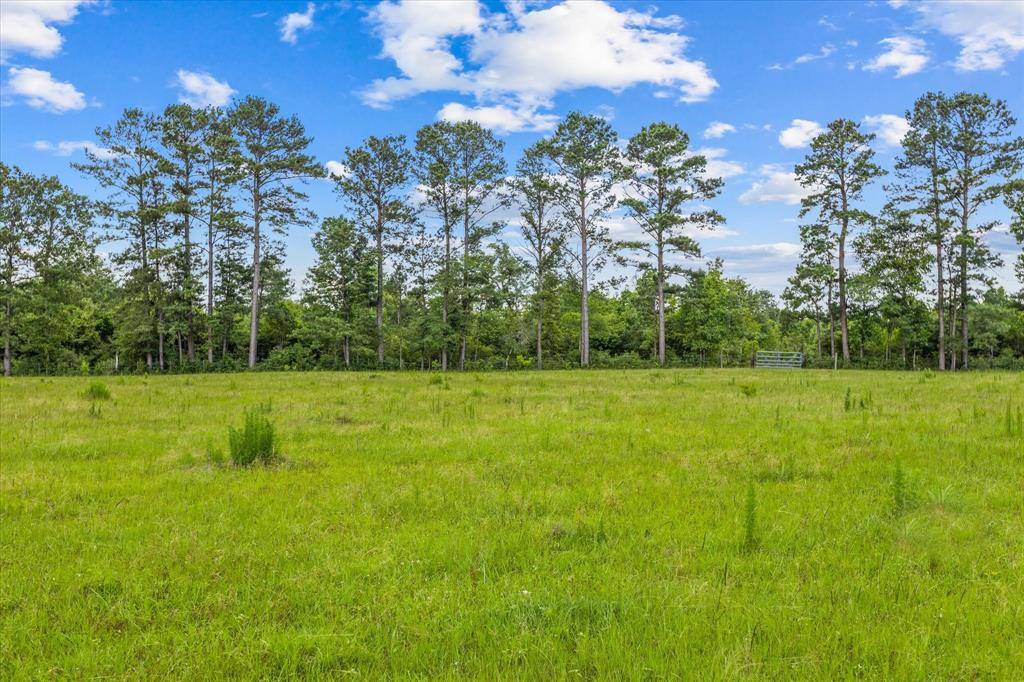 Woodville, TX 75979,0000 FM 1632